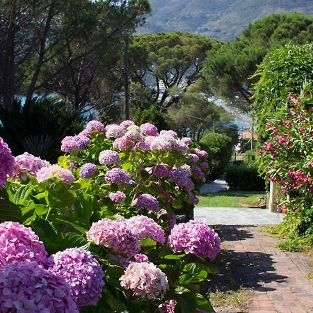 Villa Mesco Levanto Exterior photo